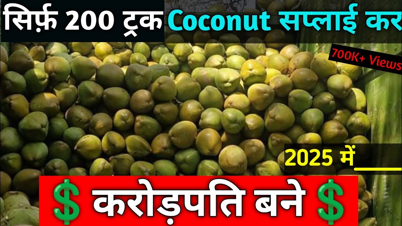 1 Cr. Earning By Coconut Wholesale Business In 2025| Banglore Coconut Wholesale Market Idea