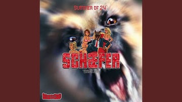 Summer of 24´ (Schæfer 2025)