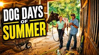 Rolling thru the dog days of summer