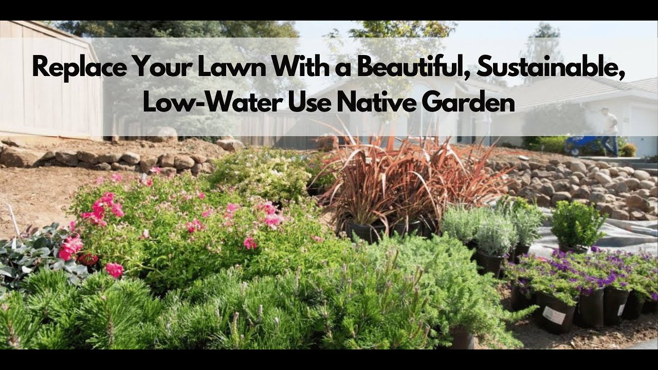 transform-your-yard-with-landscape-rebates-from-valley-water-palo