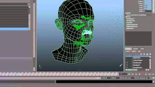 Facial performance capture