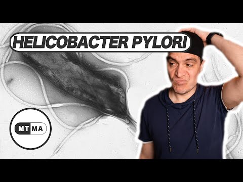Die halbe Menschheit ist infiziert - Helicobacter pylori