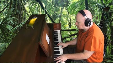 Terry Hoknes YELLOW BREASTED SPARROW Opus 774 lyrics by Philip Murray official music video 2012