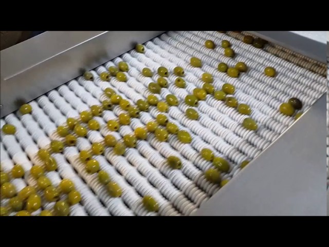 olive slicing machine 