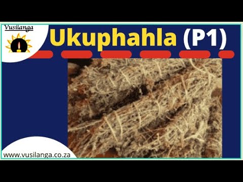 What is Ukuphahla/Ukunqula (2021) Part 1