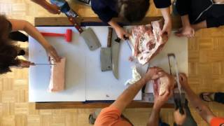Pig butchering and potluck
