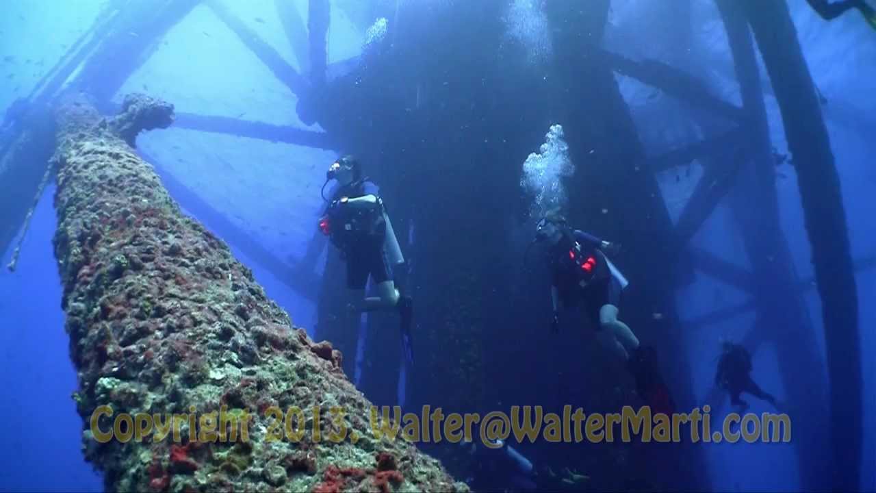 Fling Liveaboard Review By C2cdiver Bluewater Dive Travel