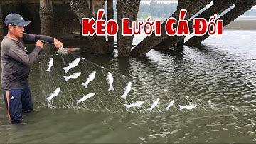 Theo Cậu 2 Đi Giăng Lưới Cá Đối Ở Cần Giờ Và Cái Kết- Nguyễn Ngọc Kiều