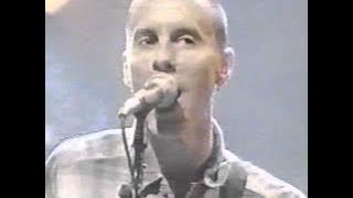 Toadies 'Possum Kingdom' 1995 live performance before studio audience, late night tv talk show
