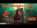 Pushpa pushpa lyrical pushpa 2 the rule allu arjun  sukumar  varadaraj chikkaballapura  dsp