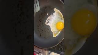 Denatured Proteins In Egg From Drugs