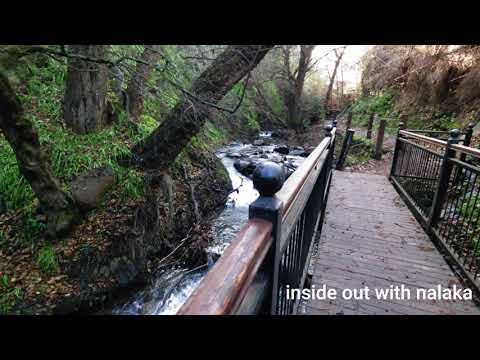 Sounds of river