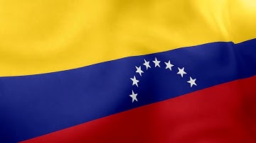 VENEZUELA - Waving Flag Loop 4K