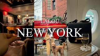 [Sub] NYC Vlog | 뉴욕 브이로그 | 디올 쇼핑 | 뉴욕 로컬 맛집 | 강아지와 함께 뉴욕 | 뉴욕 인기 칵테일바 | 뉴욕 직장인