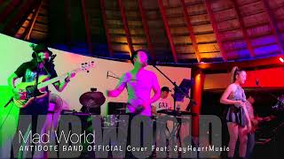 Mad World / Antidote Band Cover #jayheartmusic #cover #music #coverband