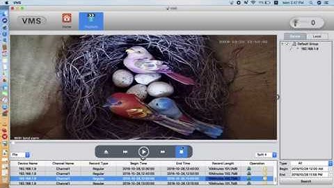 Playback Recording Bird Box Camera Video on Mac