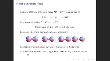 Theodora Bourni: Ancient solutions to mean curvature flow