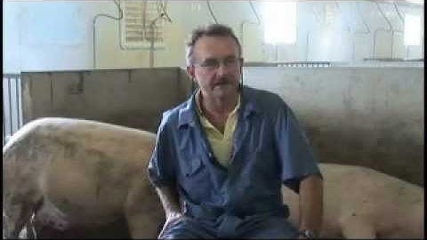 Making the Switch to Group Housing_part4