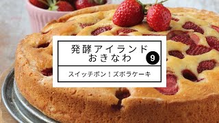 ♡ vol.09 ♡材料３つ★ズボラチーズケーキ　発酵アイランドおきなわ