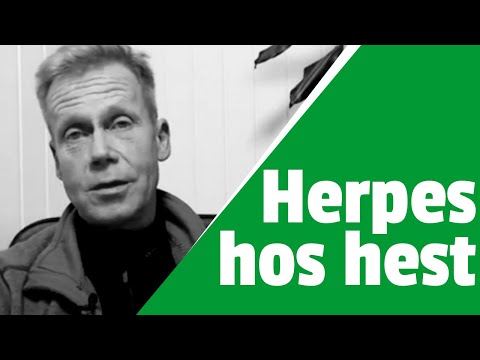 Video: Hestherpesvirus