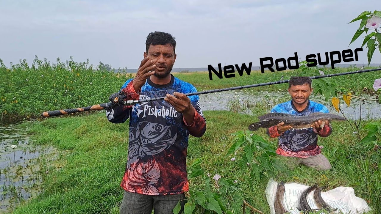 Fishing video How To Catch Snakeheads Amazing fishing catching