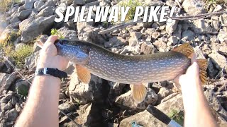 Spillway Fishing for Northern Pike (Surprise Catch x2) - Iowa Pike Fishing