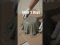 DIY Fabric Drape Concrete Planter 🌺✨#diy #concretecrafts #planter #gardendiy #upcycling