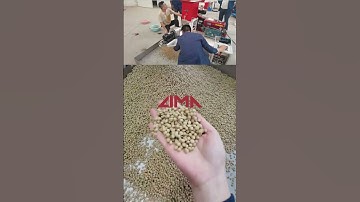 200kg per hour diesel type floating fish feed pellet machine#feedmachinery #fishfeed