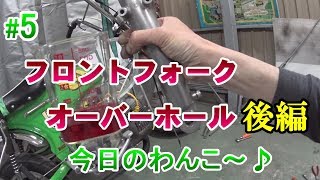 【ＨＯＮＤＡ　ダックス】今日のわんこ＃5　フロントフォーク　オイルシール交換  後編