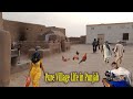 Daily Life of Village People || cool and calm village life || Natural and Healthy Life in  Village