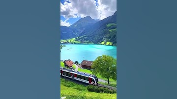 الله لطيف بعباده /مقطع قران قصير تلاوة خاشعة الشيخ سعيد اوزيت