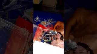 Pov : moi entrain de Blinker 3 LED 😁 #Électronique #Arduino #Led #programmation #ElectroniqueDiy