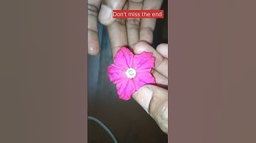 Try this idea 👉wait for the end|#viralvideo #shorts #shortsfeed #tricks #trending #tips #beautytips