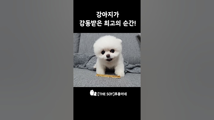 강아지에게 오랜만에 간식을 줬더니..