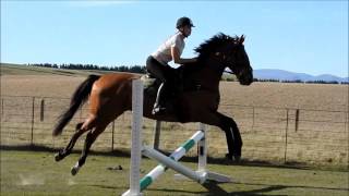 Schooling Arthur 2