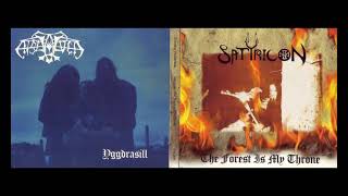 Satyricon / Enslaved- The Forest Is My Throne / Yggdrasill (Split 1995)