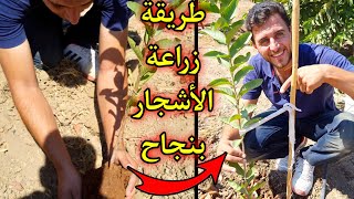 تعلم طريقة زراعة أي شجرة بنسبة نجاح 98.9% بإذن الله 🌳