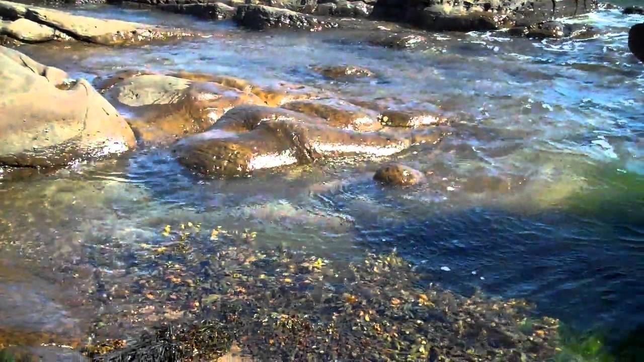 Fife Coastal Path Cellardyke Scotland YouTube