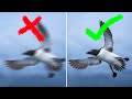 How to pick the right shutter speed