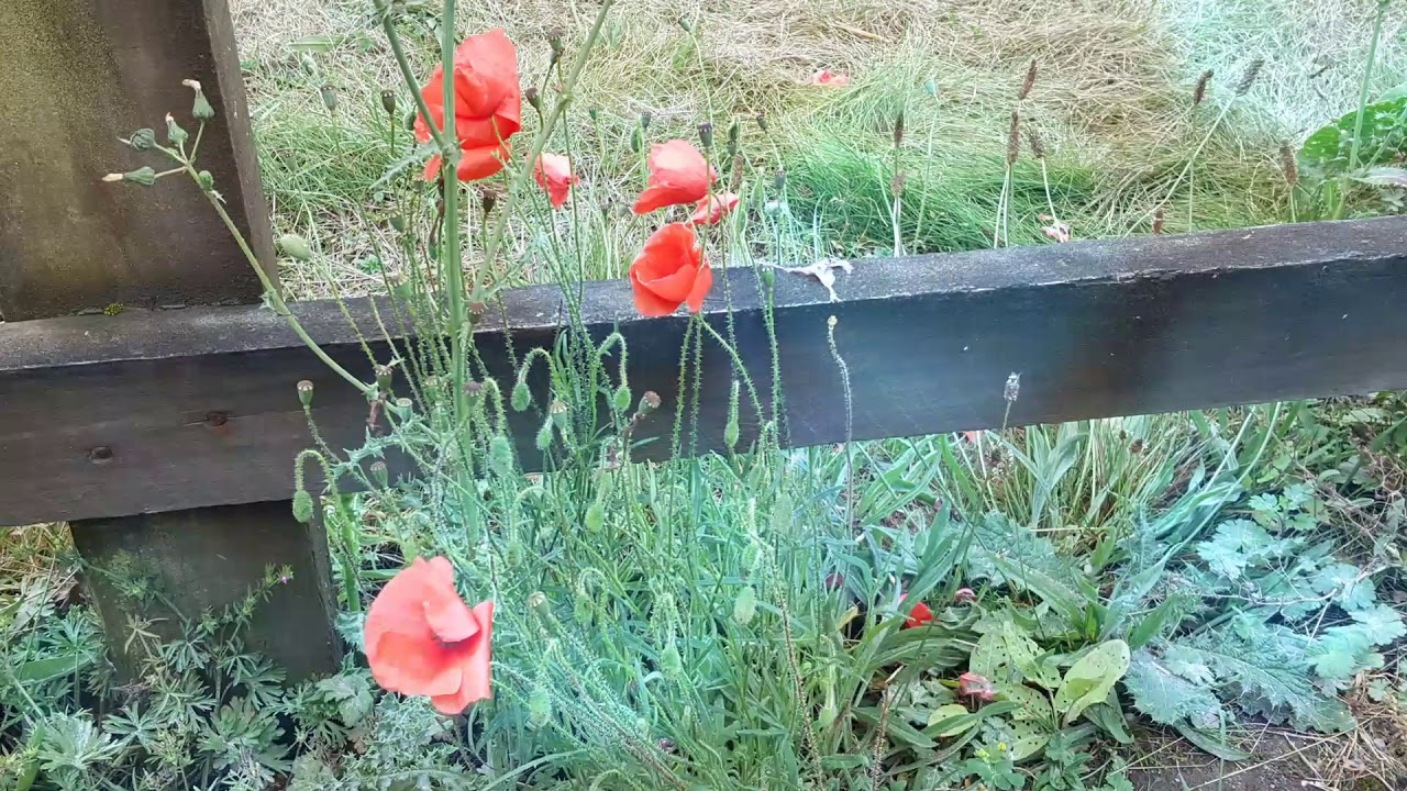 Imber Village, Salisbury Plain
