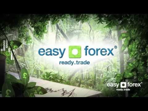 Forex trading startup