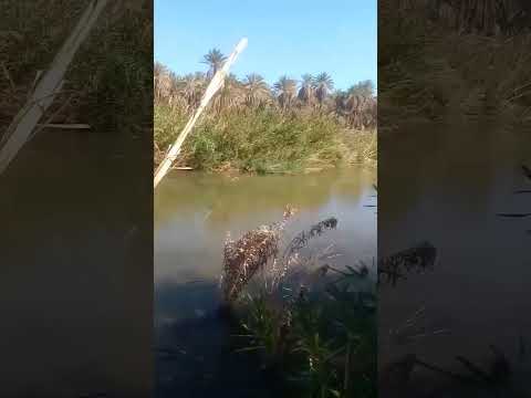 بلدتي الرائعة اكسبلور لايك اشتراك واحة أقا الصلاة على النبي أقا طاطا المغرب   