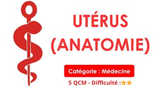 Utérus (anatomie) - 5 QCM - Difficulté :⭐⭐