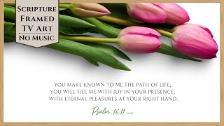 Spring Christian TV Art with Bible Verses | Relaxing Tulip Framed Art | Silent Screensaver screenshot 5