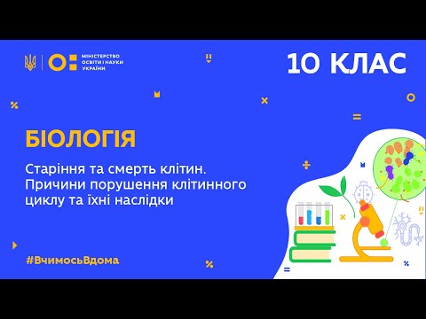 Loading video