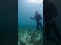 Murray’s Beach Freedive Explore #freedive #explore #shark #eagleray #underwater #australianbeach