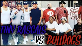 BULLDOGS VS TINY RASCALS ....IT STARTED IN THE 90S ....IS IT OVER !!!