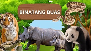 BINATANG BUAS, BINATANG BUAS DI ALAM LIAR, HEWAN BUAS, HEWAN BUAS DI ALAM LIAR, HEWAN LIAR