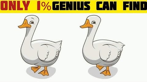 🎯🤯💪Spot 3 differences | Only genius can find all differences