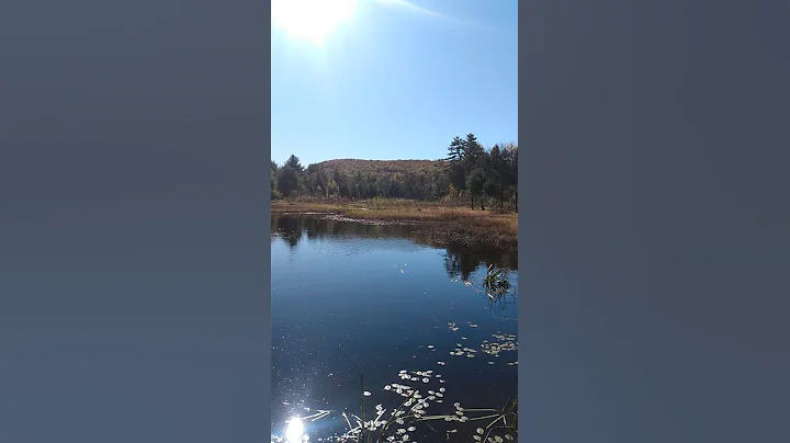 Stone Arch Bridge Cheshire Railroad Sand Dam Pond ...